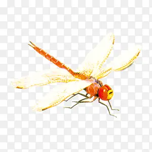 ���������-������