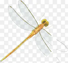 ����-������