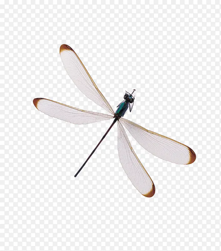 ����-������