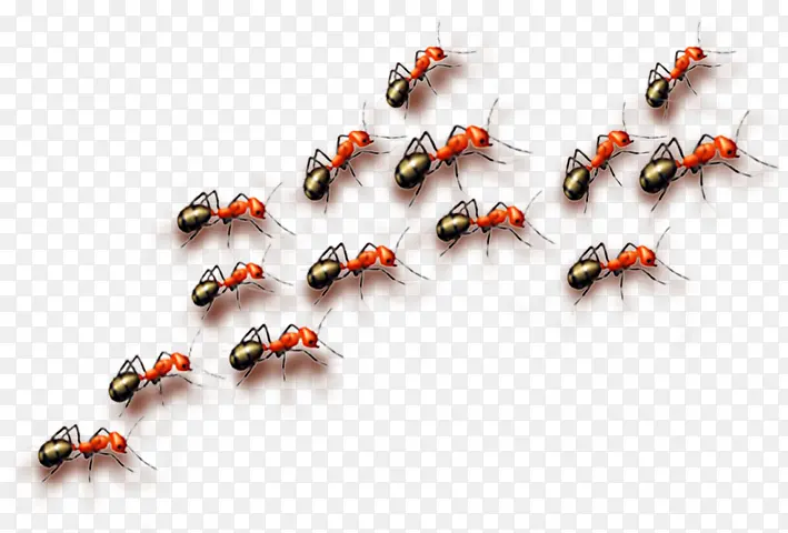 ����-������