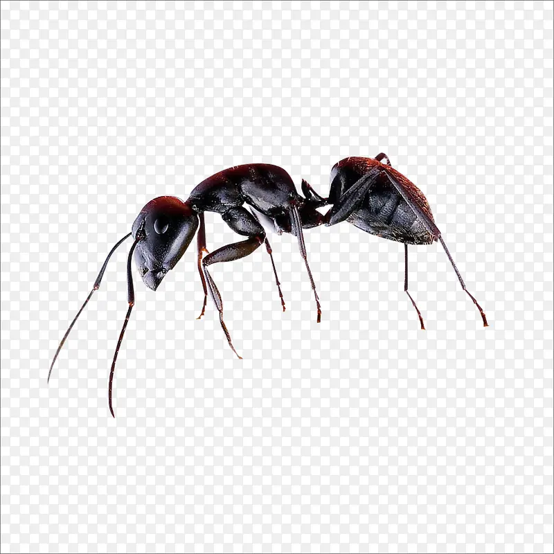 ����-������