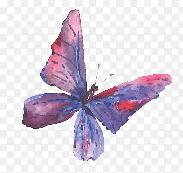 ����-������