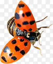 ���컧��ư������-������