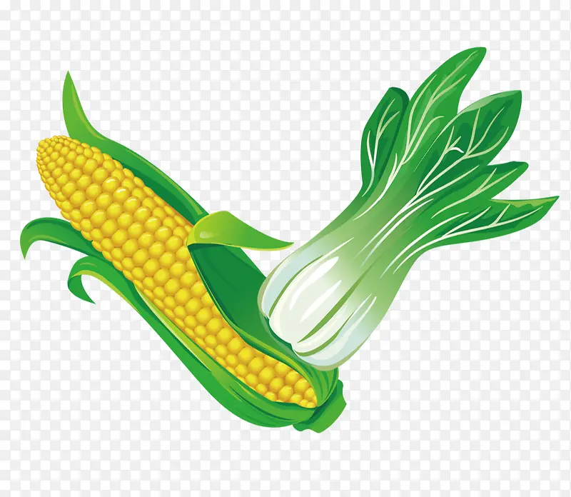 ��ͨ�߲�-������