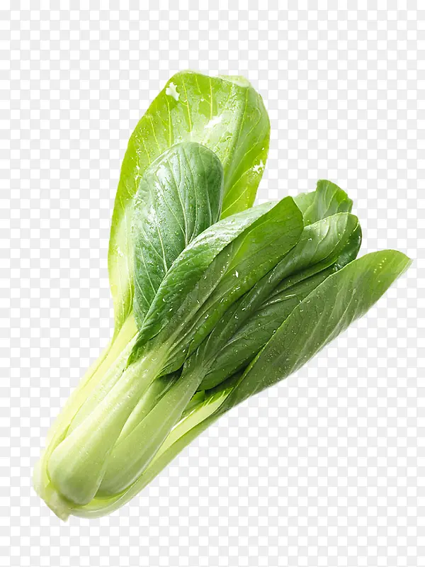 С�ײ˲�Ʒʵ��-������