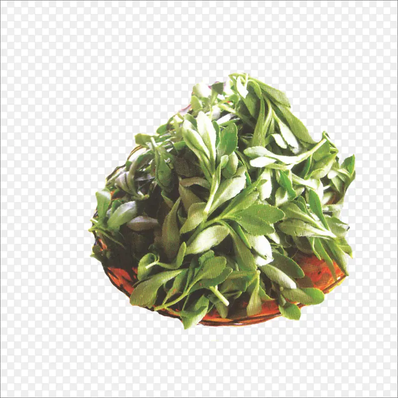 ���-������