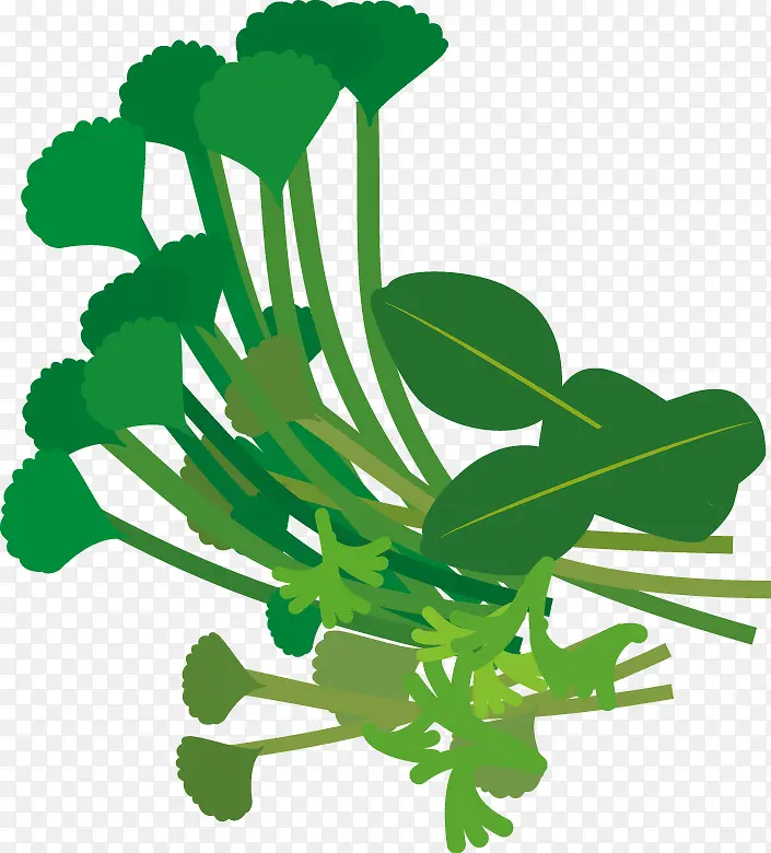 ��˿�ͨ-������