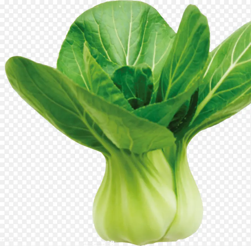 �Ͳ�-������