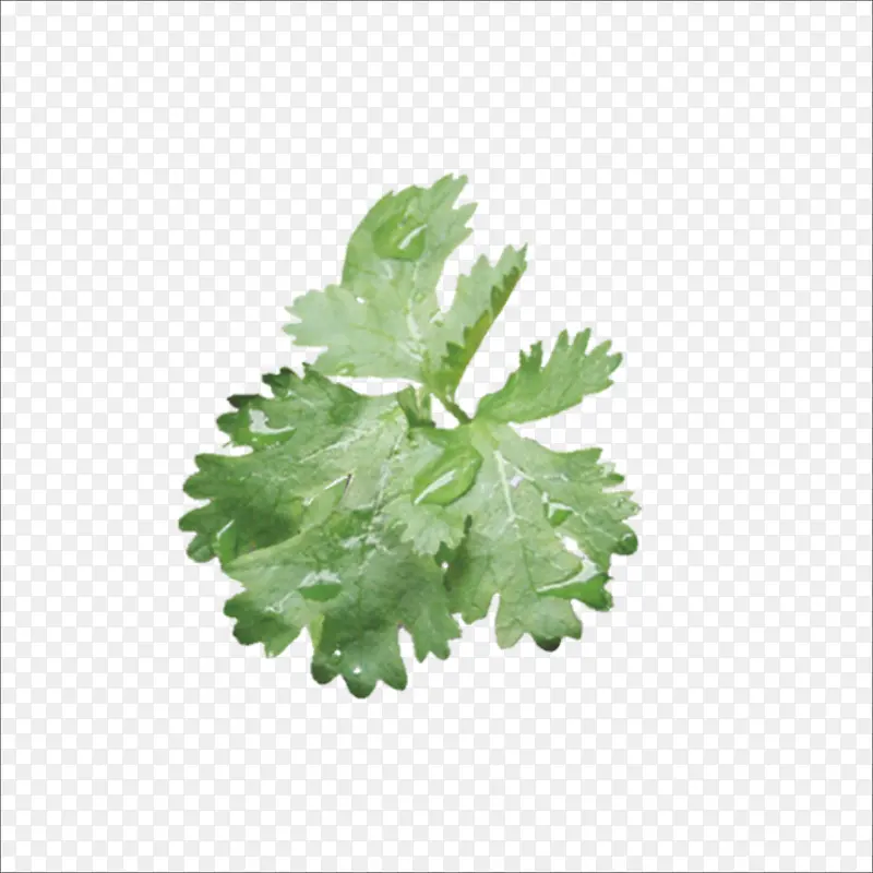 �߲�-������