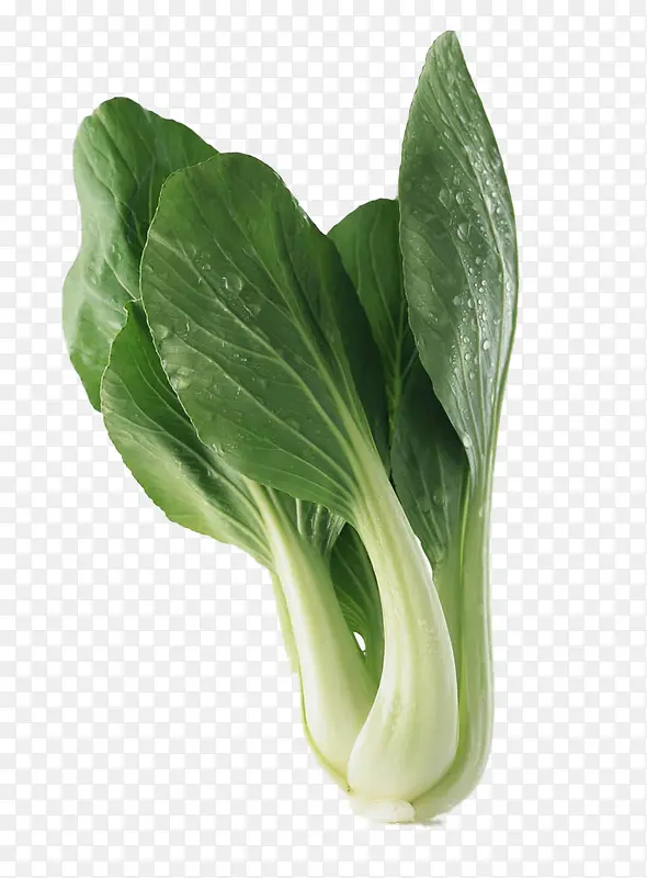 С�ײ˲�Ʒʵ��-������