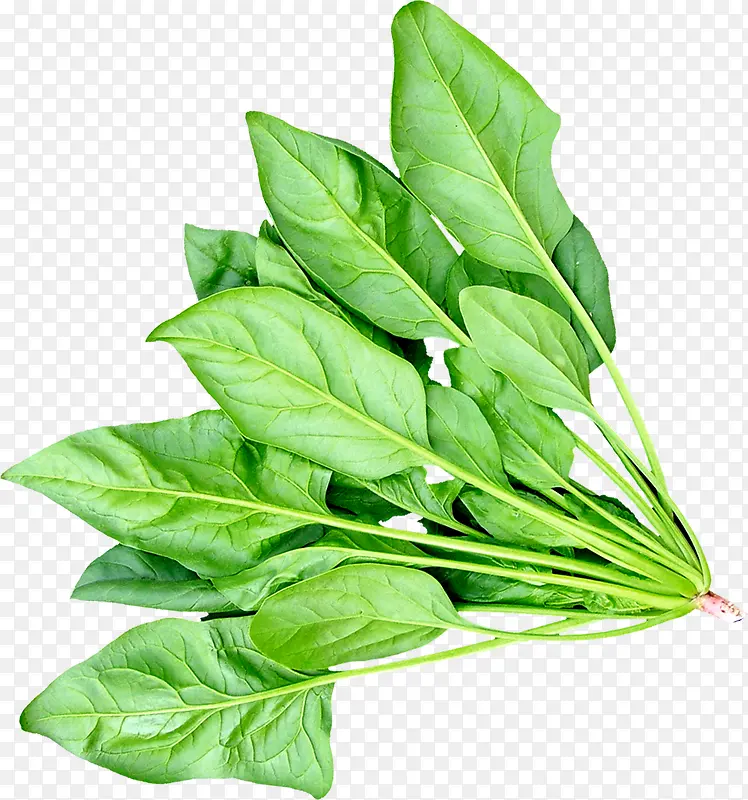 ���-������