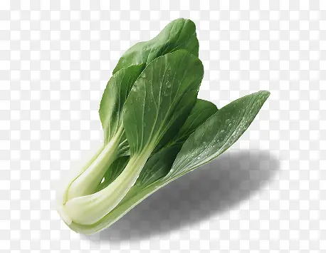 �Ͳ�-������