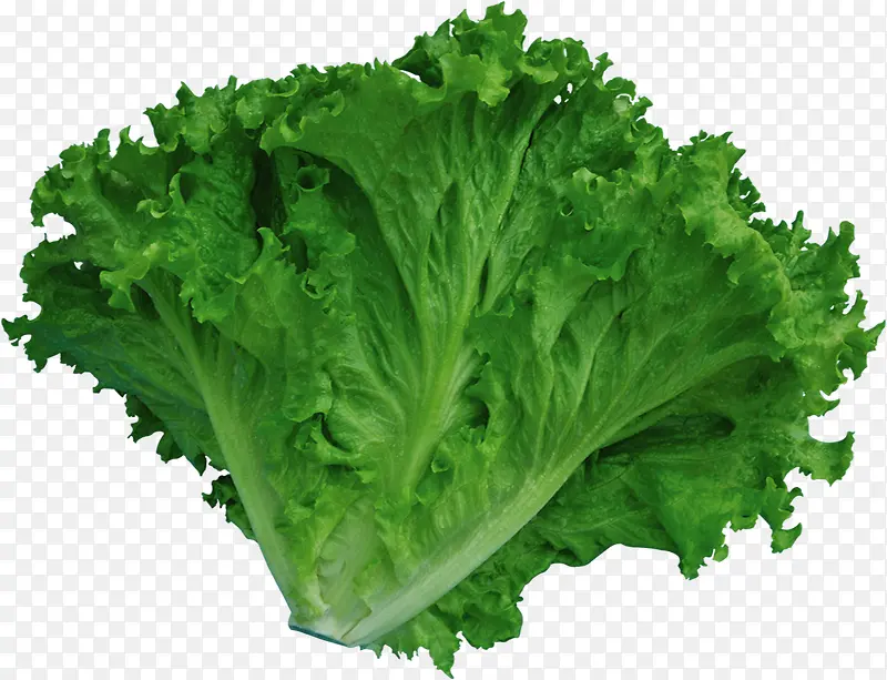 �߲�-������