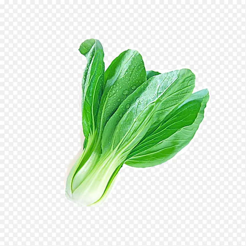 ���-������