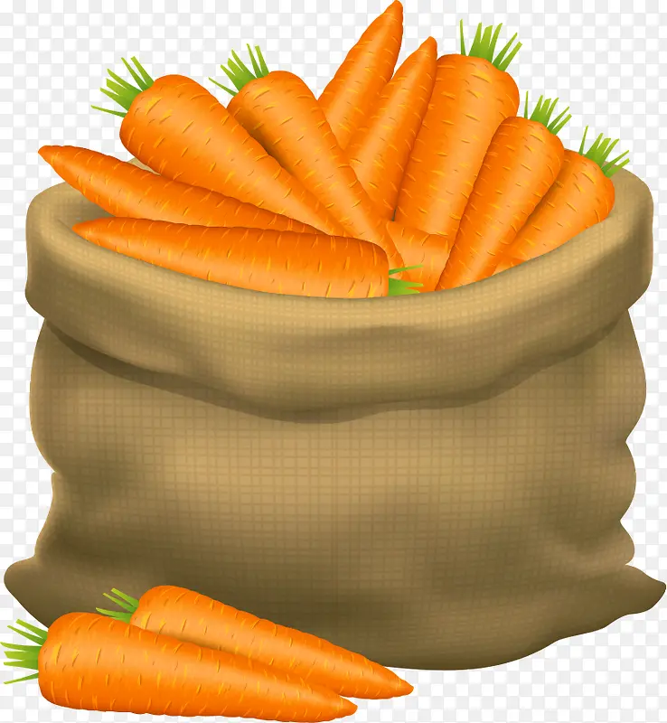 ʸ�����ܲ�-������