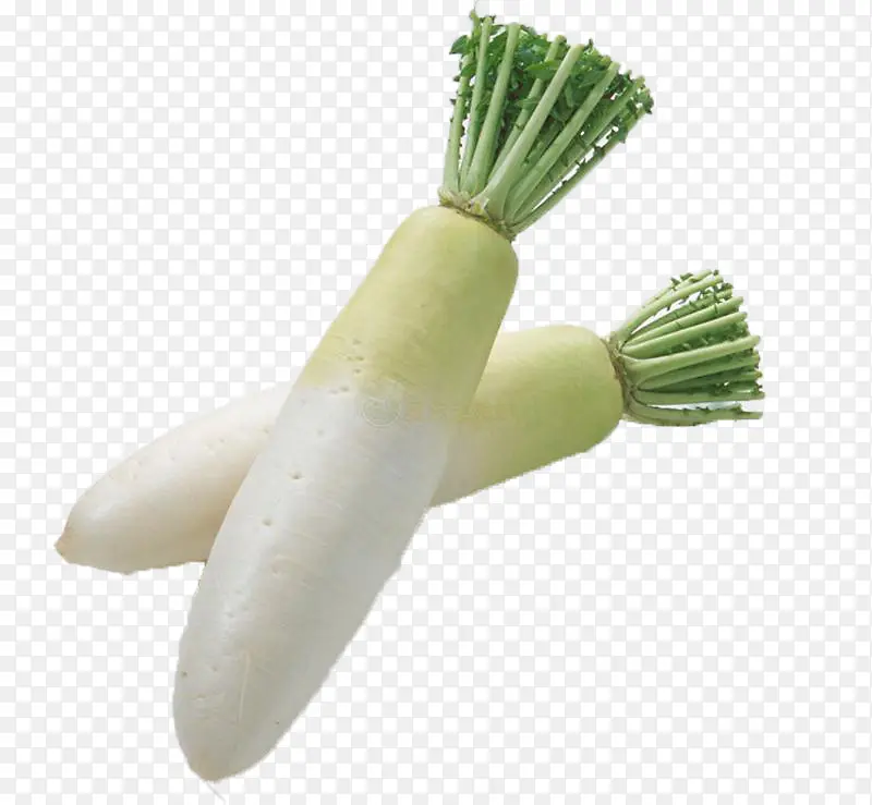 ��ɫ�ܲ�-������