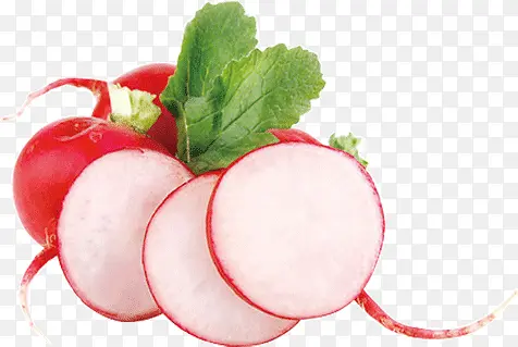 ˮ���ܲ�-������