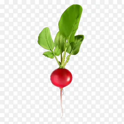 �ܲ�-������