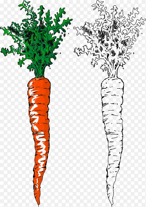 ���ܲ�-������