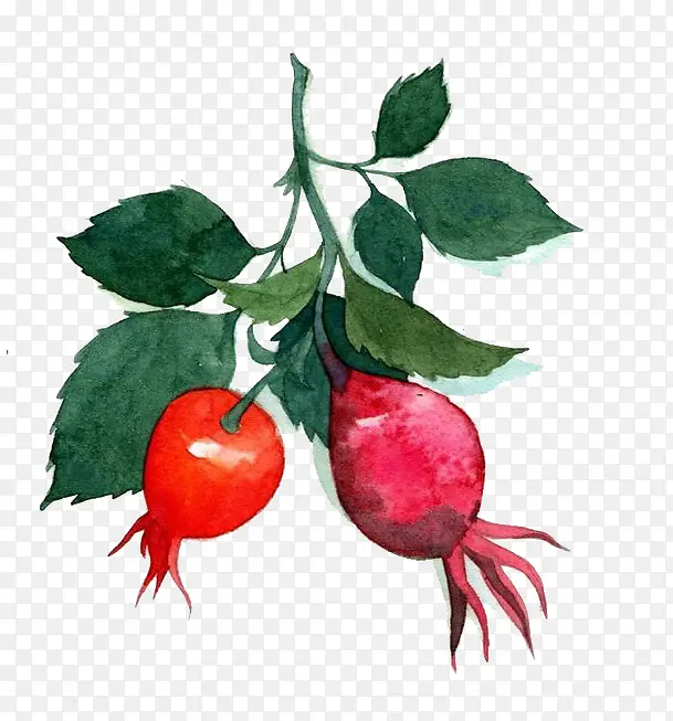 ˮ���ܲ�-������