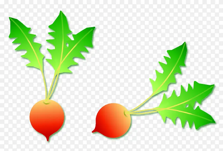 ��ͨ�ܲ�-������