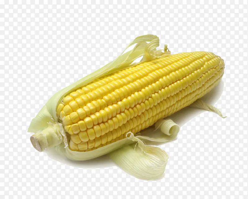 ��ɫ������-������