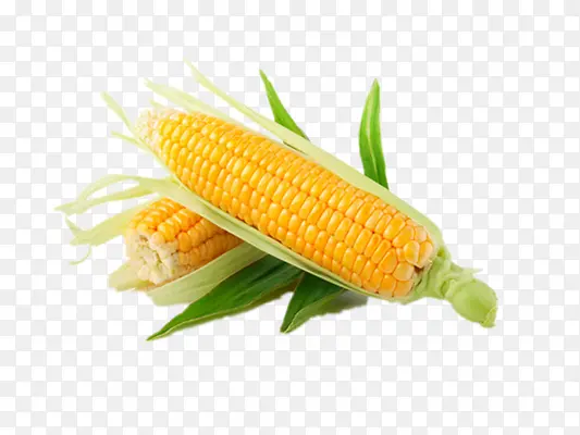 ����-������