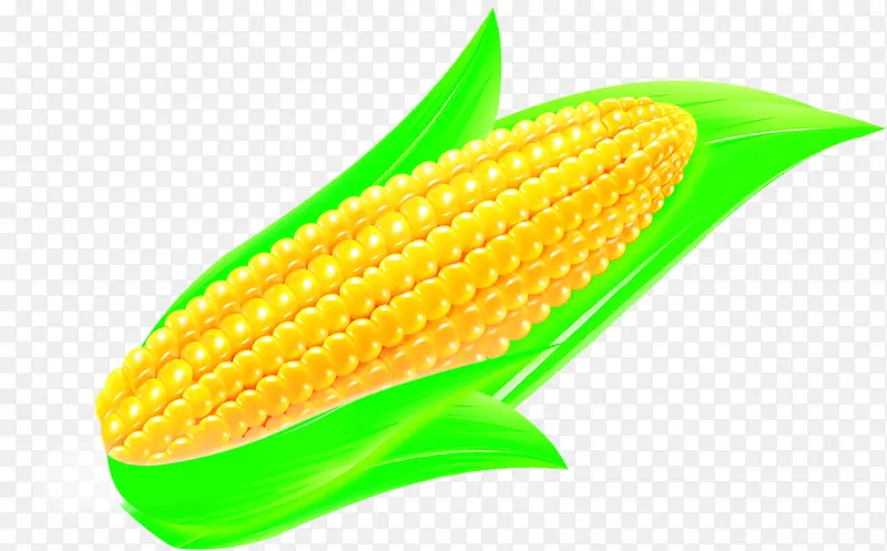 �ֻ�ɰ�����װ��-������