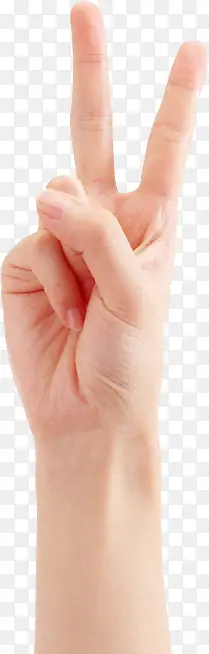 ����������ָ����-������