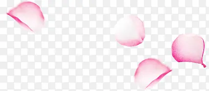 �Ķ��ɫ����-������