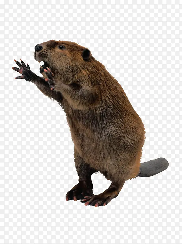 ������-������