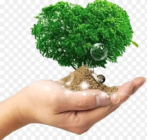 �������İ�����������-������