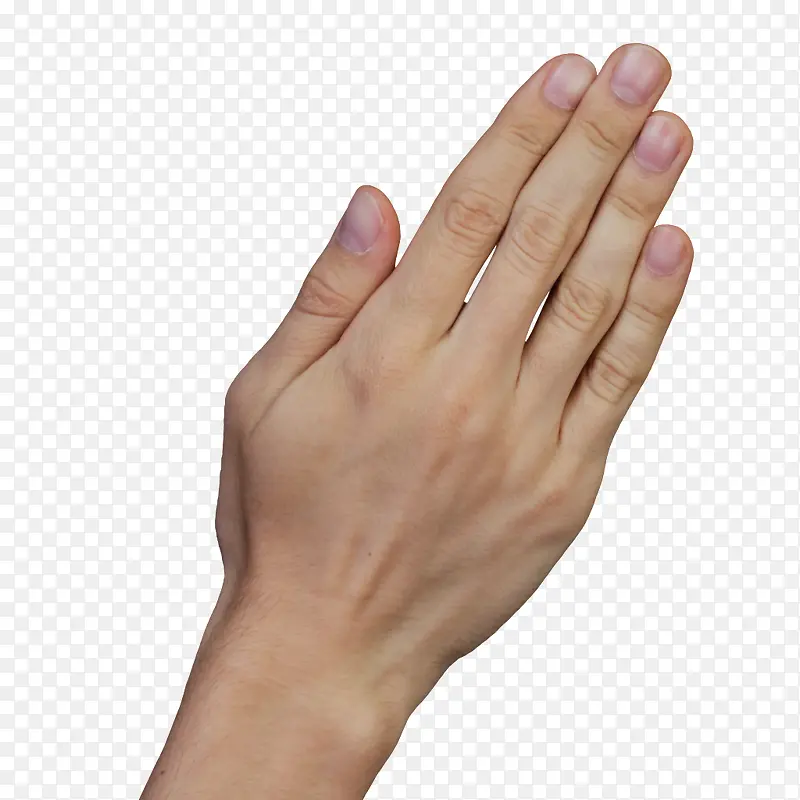 ��ָ����-������