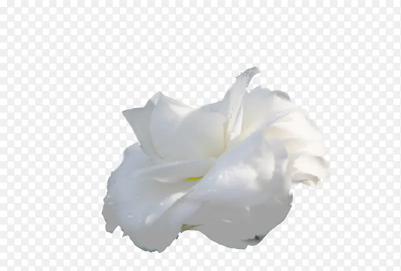 �軨��ɫ�軨�ز�-������