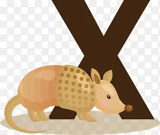 ��ͨ��ĸX-������