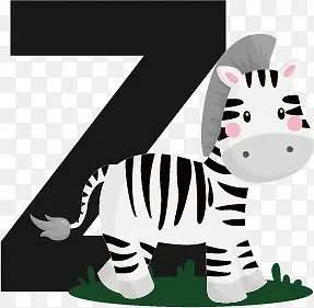 ��ͨ��ĸZ-������