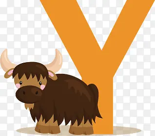 ��ͨ��ĸY-������