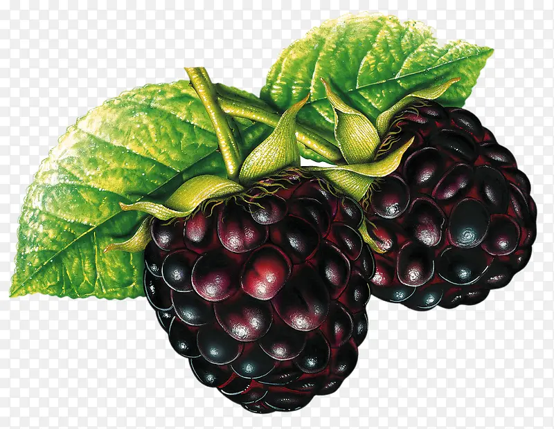 ˮ��-������