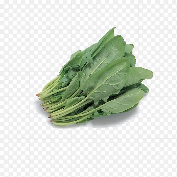 ����-������