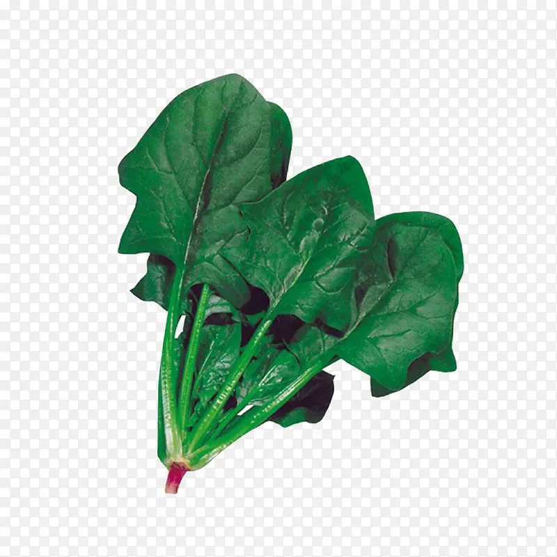 ����-������