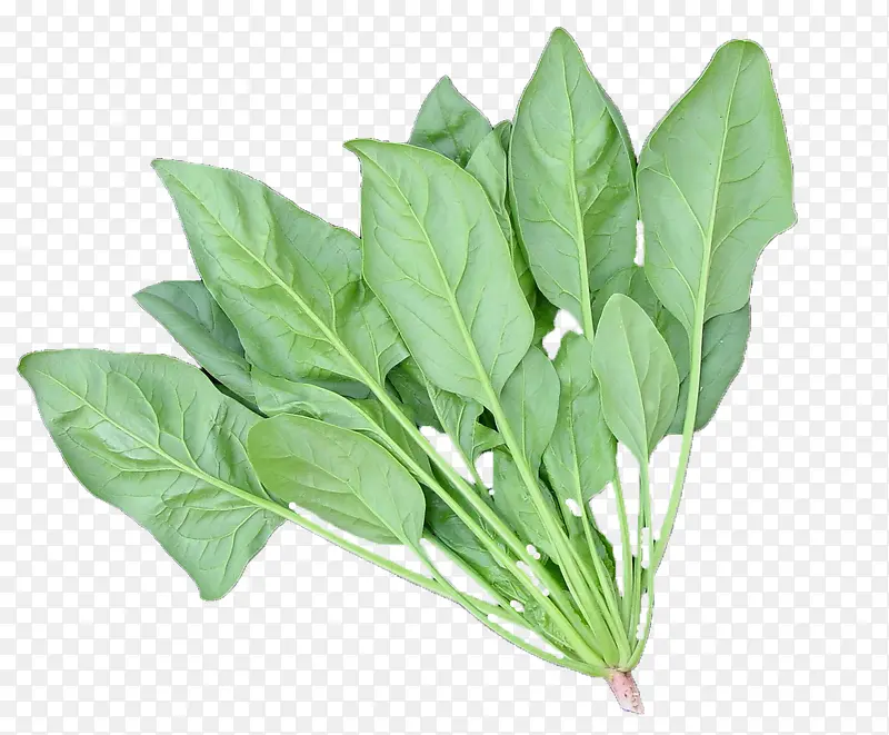 ����-������