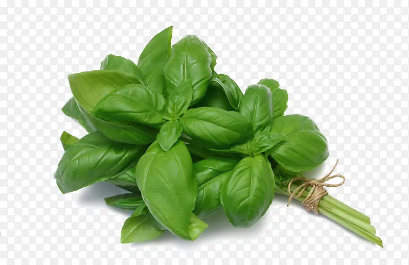 ����-������