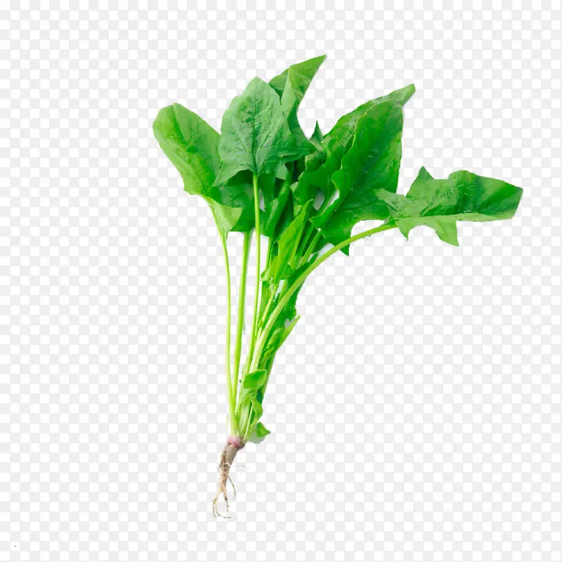 ����-������