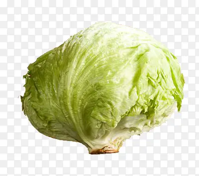 ݫ��-������