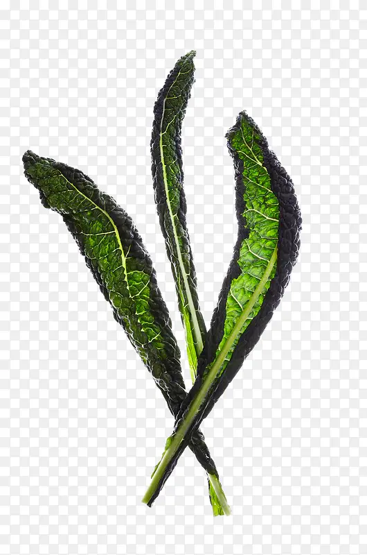 ��Ҷ-������