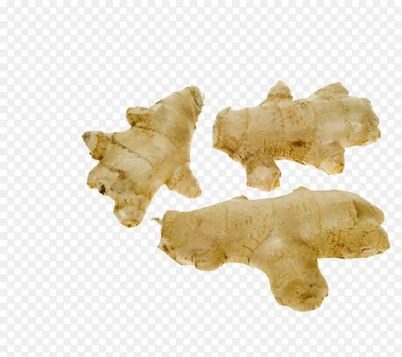 ��ɫ�Ľ�-������