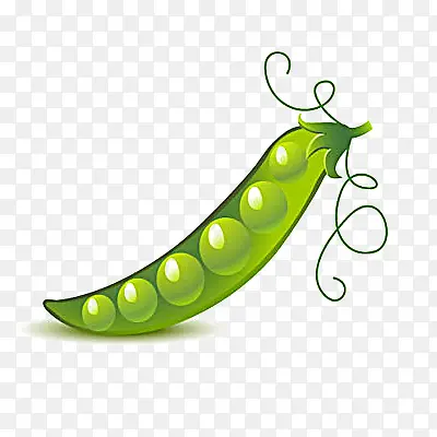 �㶹-������