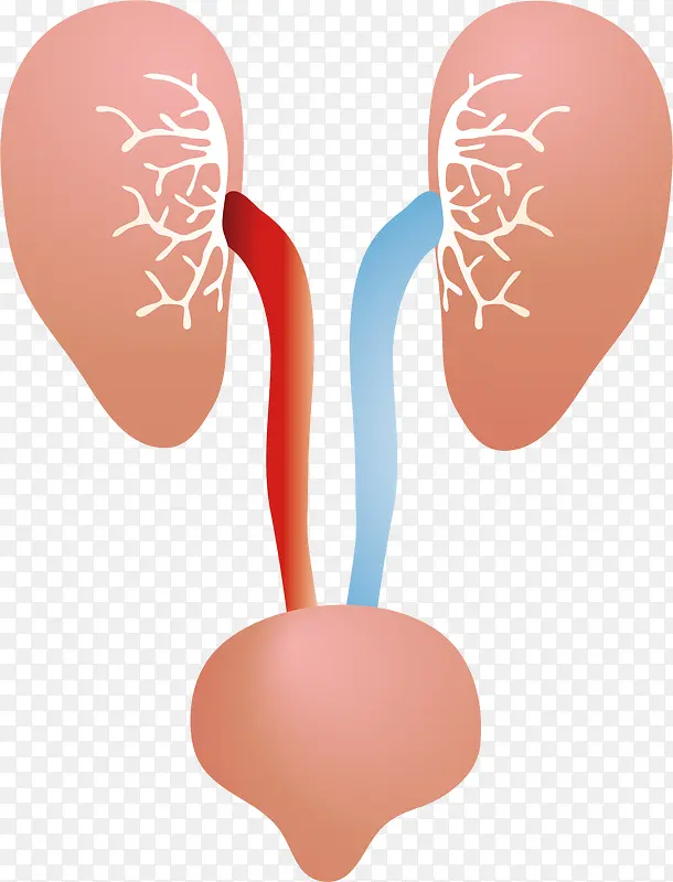 ��pngʸ���ز�-������