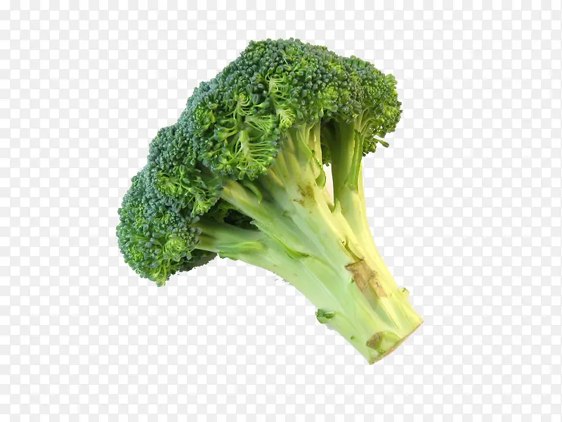 ��Ҭ���ز�-������