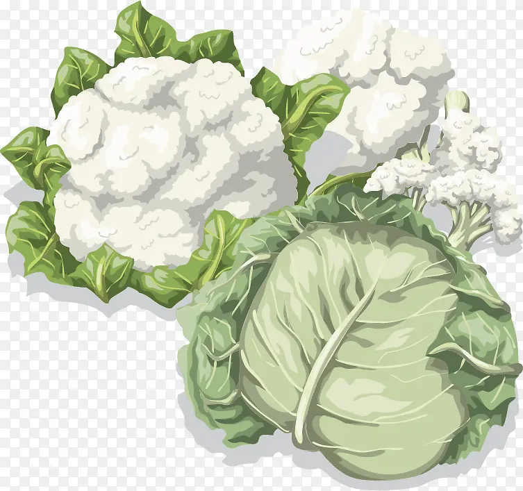 �˻��߲�PNGʸ���ز�-������